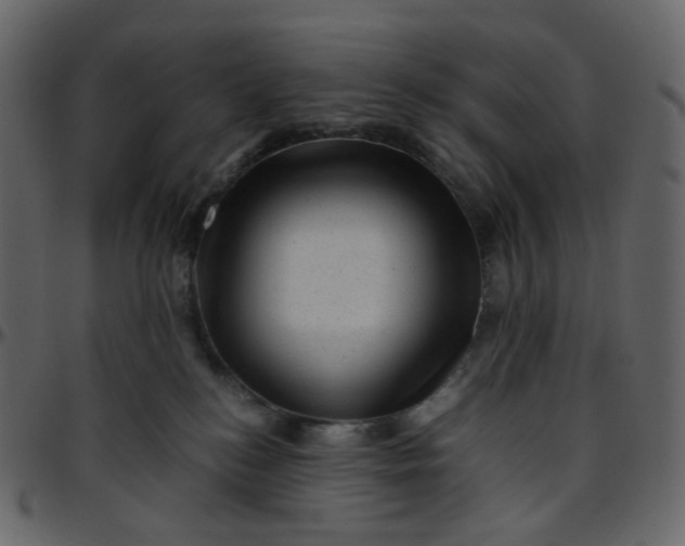 X0000095690184200801221255