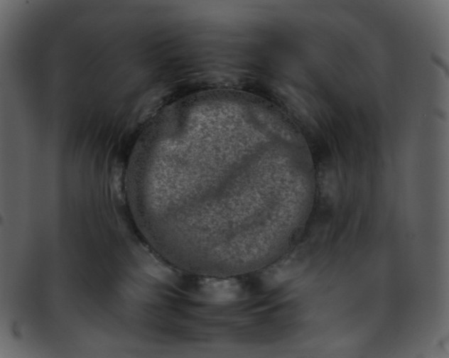 X0000095690185200801221255