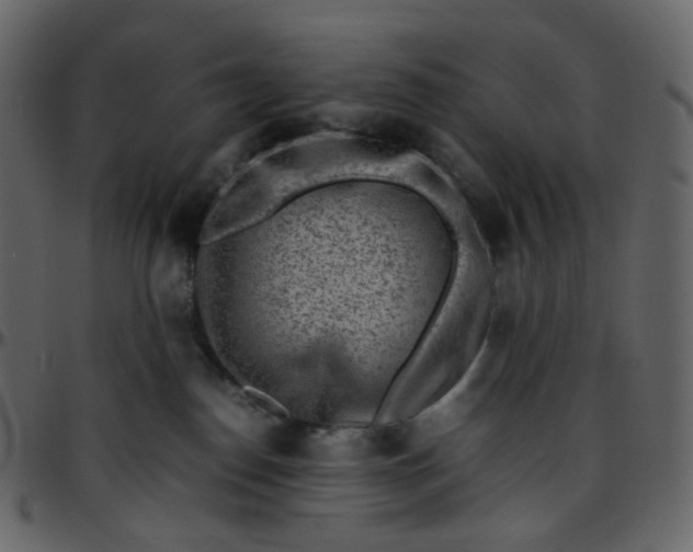 X0000095690186200801221255