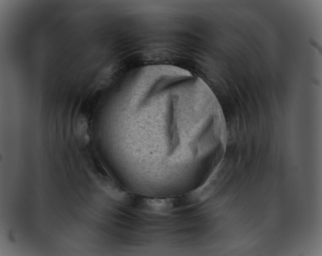 X0000095690187200801221255