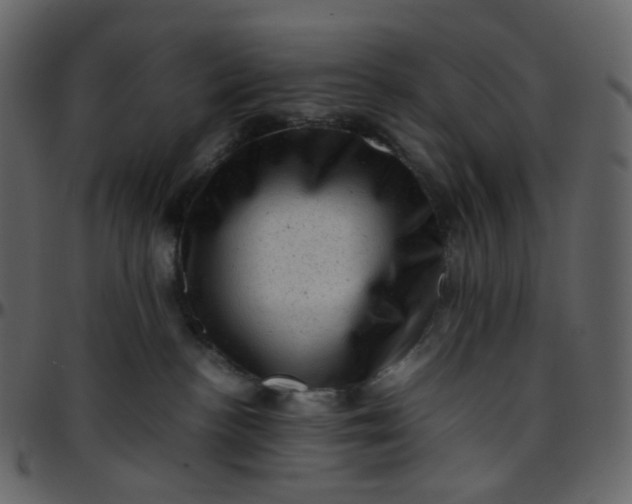 X0000095690188200801221255