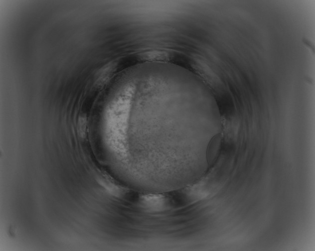 X0000095690189200801221255