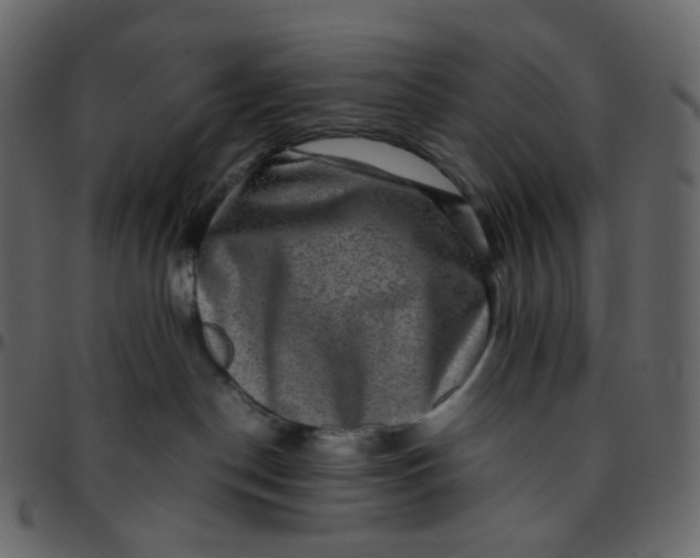 X0000095690190200801221255