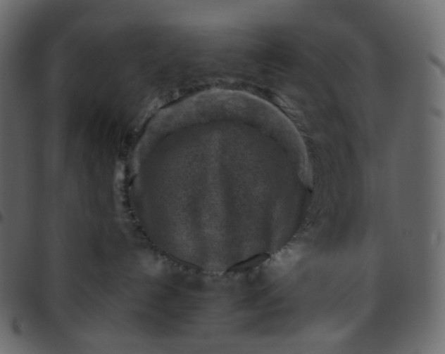 X0000095690192200801221255