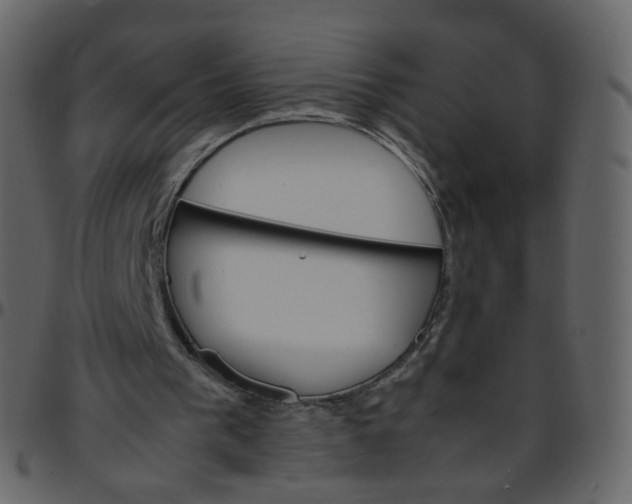 X0000095690193200801221254