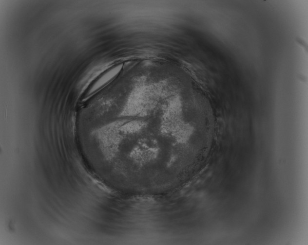 X0000095690194200801221254