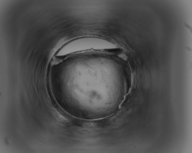 X0000095690195200801221254