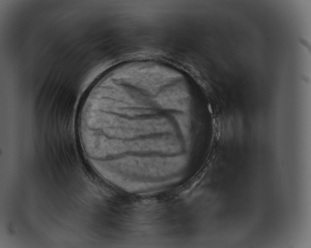 X0000095690196200801221254