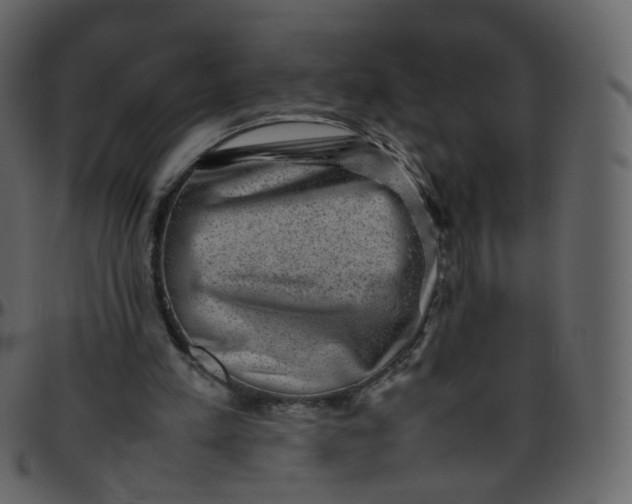 X0000095690197200801221254