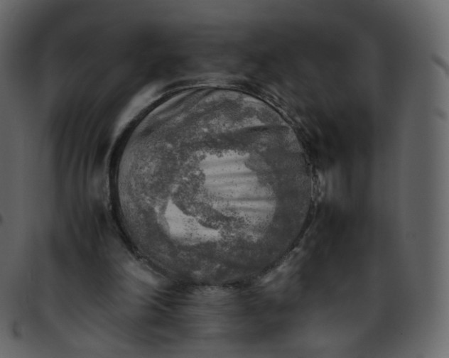 X0000095690198200801221254