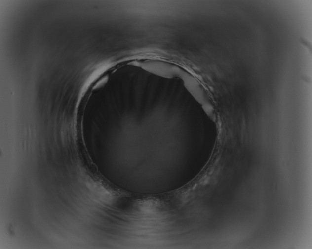 X0000095690200200801221254