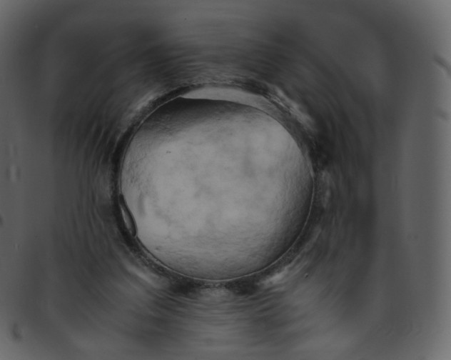 X0000095690203200801221254