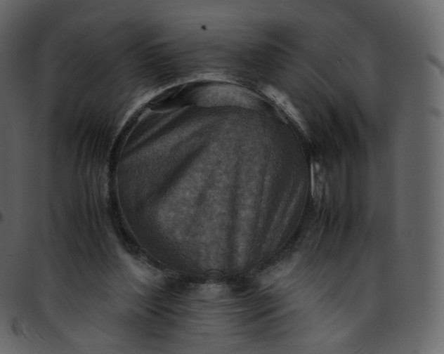 X0000095690204200801221254