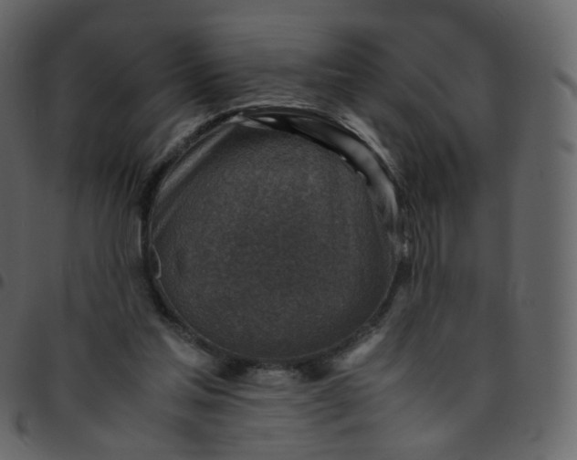 X0000095690205200801221254