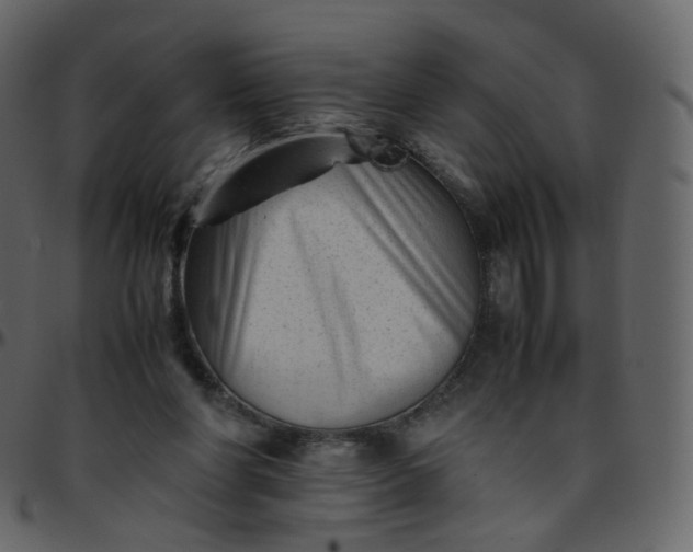 X0000095690206200801221254