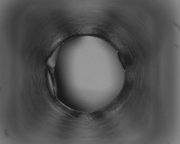 X0000095690207200801221254