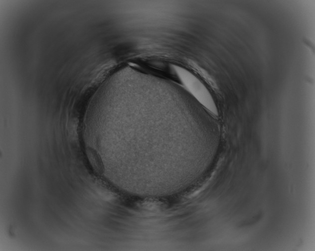 X0000095690209200801221254