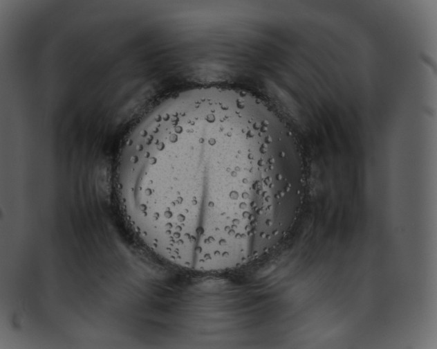 X0000095690210200801221254