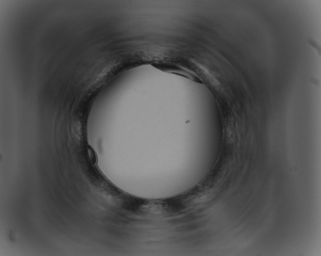 X0000095690211200801221254