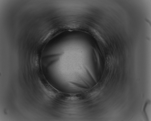 X0000095690212200801221254