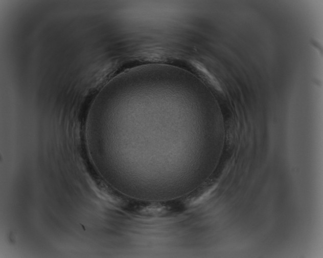 X0000095690213200801221254