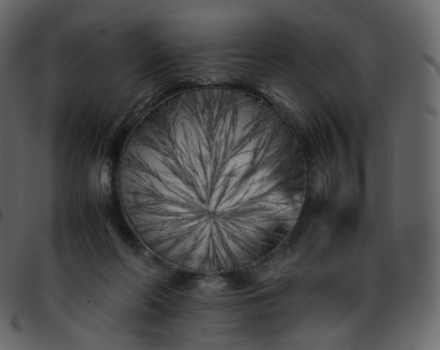 X0000095690214200801221254