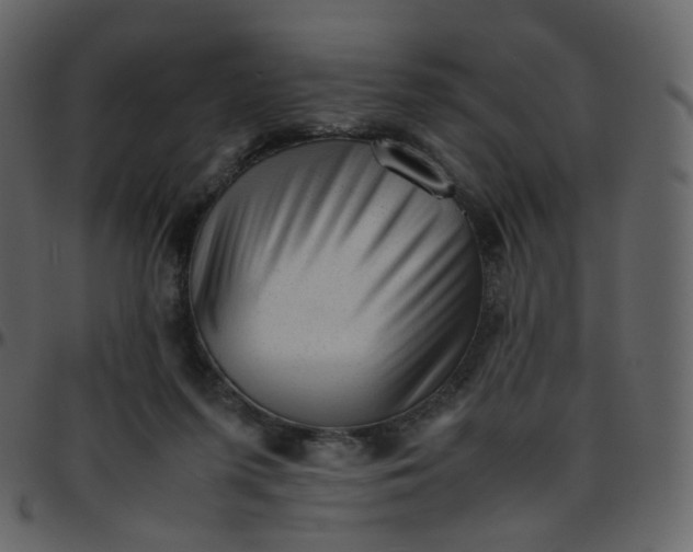 X0000095690215200801221254