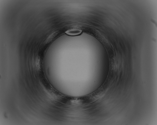 X0000095690216200801221254