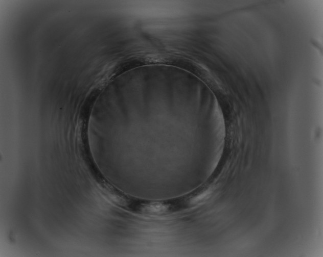 X0000095690217200801221254