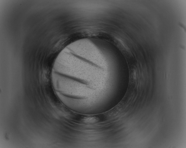 X0000095690218200801221254