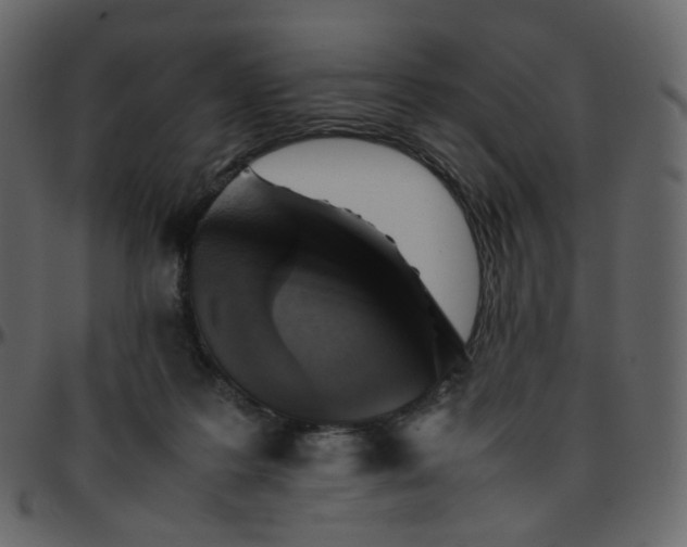 X0000095690219200801221254