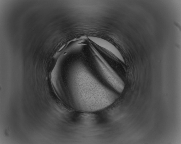 X0000095690221200801221254