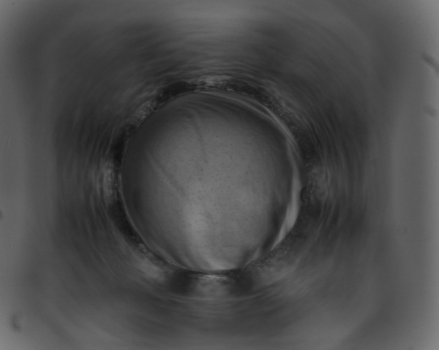 X0000095690222200801221254