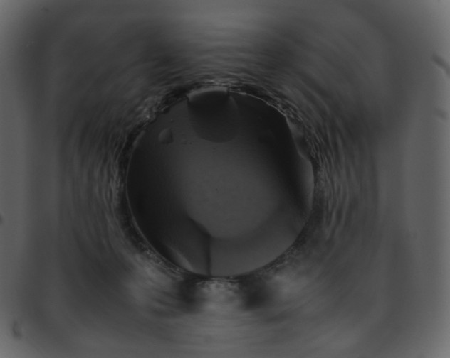 X0000095690223200801221254