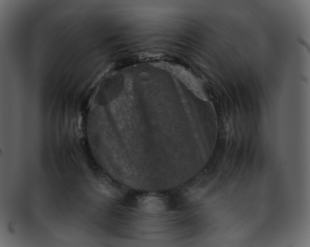 X0000095690224200801221254