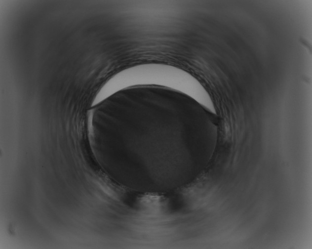 X0000095690227200801221254