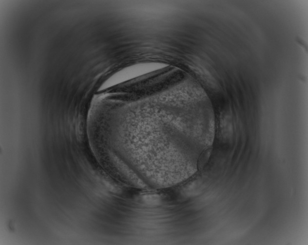 X0000095690228200801221254