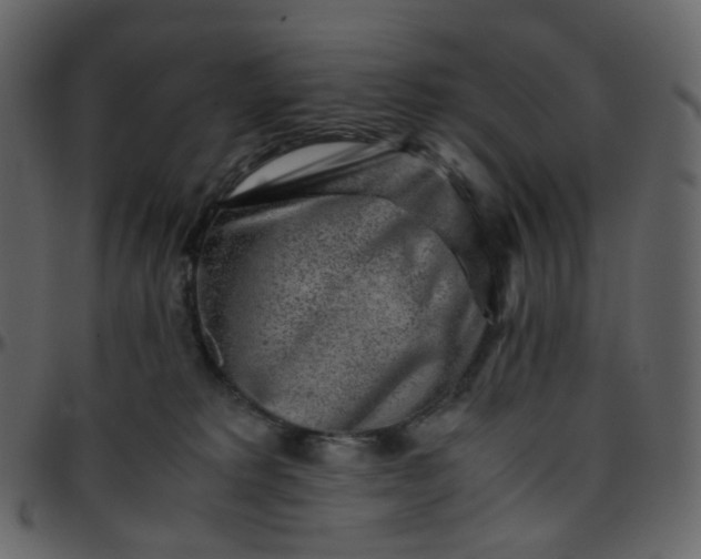 X0000095690229200801221254