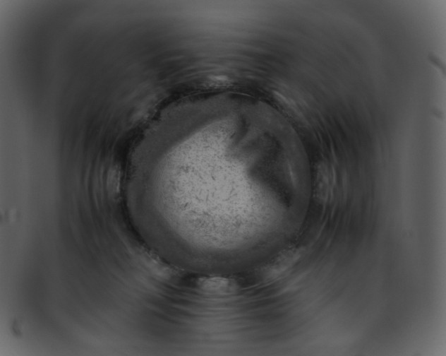 X0000095690230200801221254