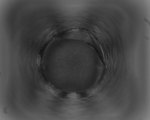 X0000095690231200801221254