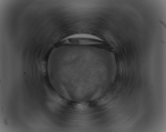 X0000095690232200801221254