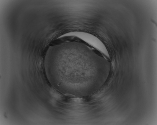 X0000095690233200801221254