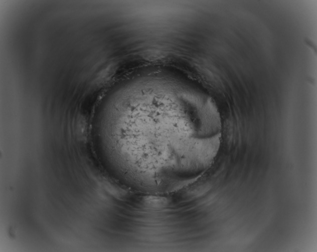 X0000095690234200801221254