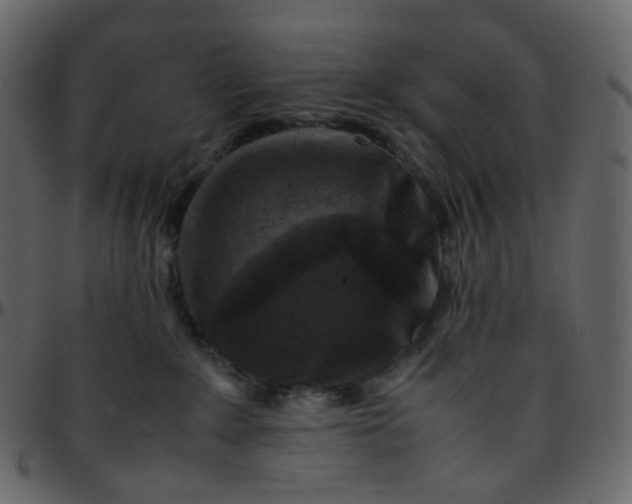 X0000095690235200801221254