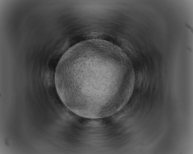 X0000095690236200801221254