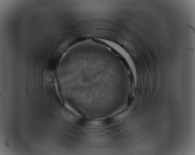 X0000095690237200801221254