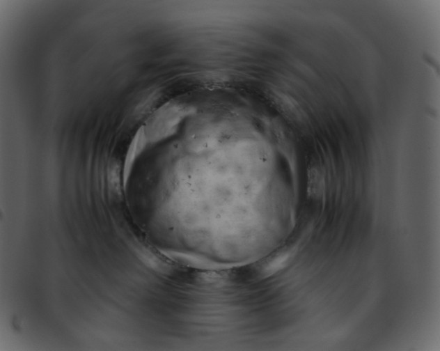 X0000095690238200801221254