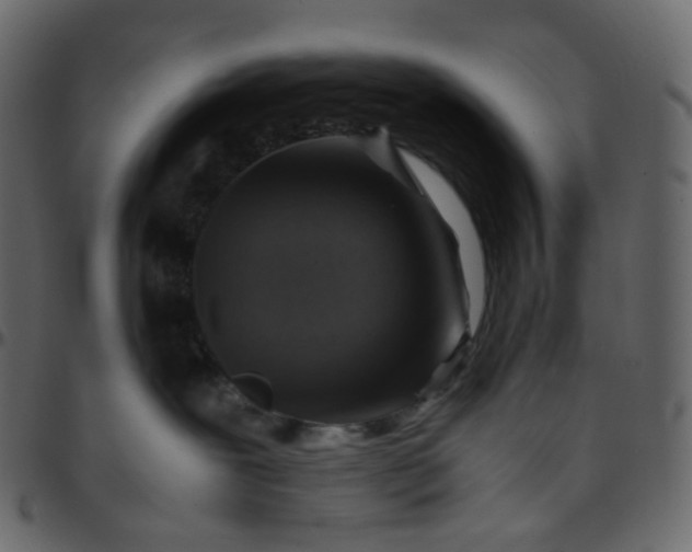 X0000095690239200801221254