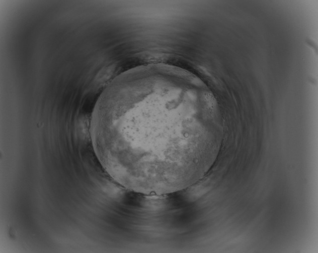 X0000095690240200801221254