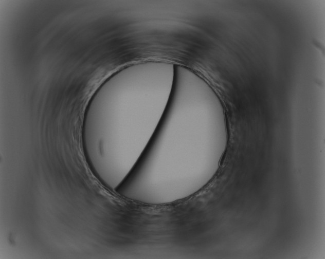 X0000095690241200801221253